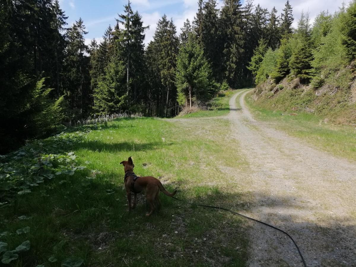 Modernisierte Ferienwohnung Im Schoenen Sauerland Meschede Exterior foto